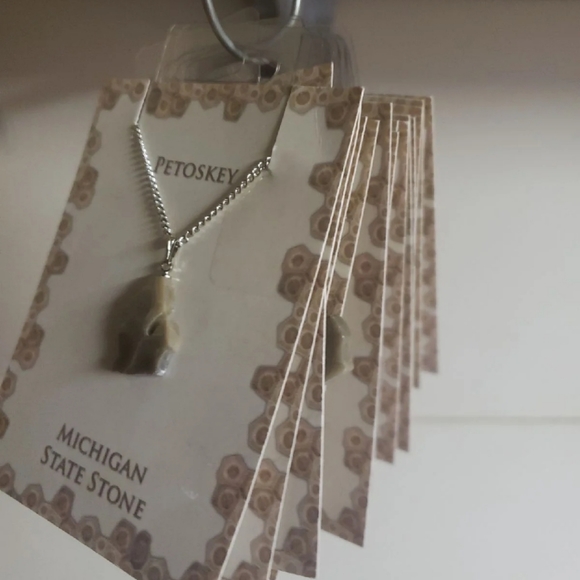 Michigan SHAPED Petosky STONE Pendant NECKLACE Gift - Picture 1 of 8